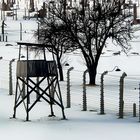 Birkenau