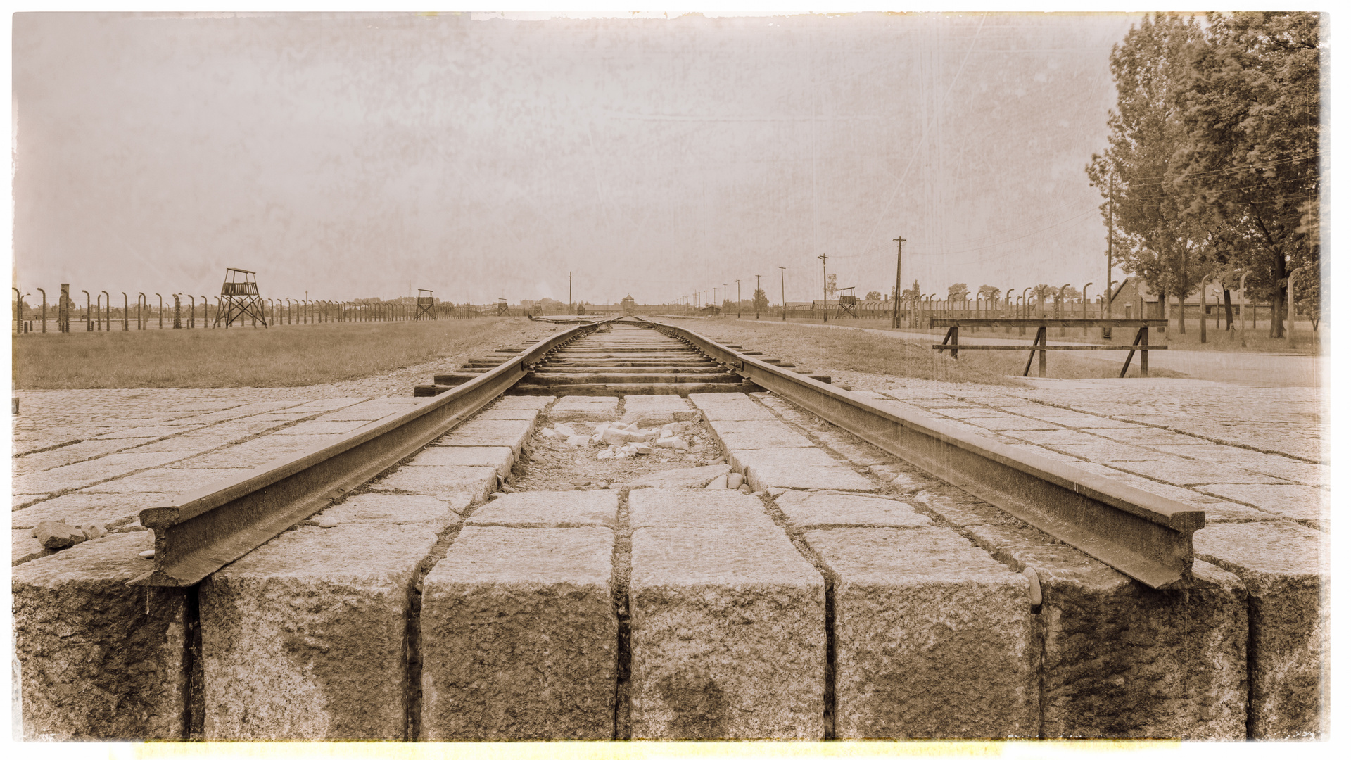 Birkenau