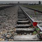 Birkenau-Auschwitz II