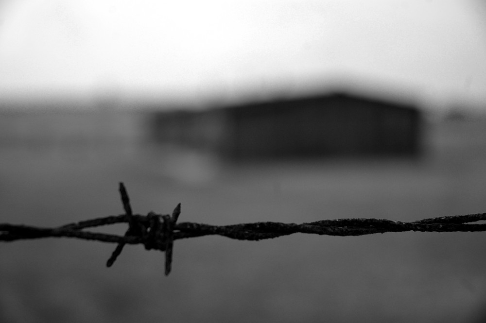 Birkenau - Dolore