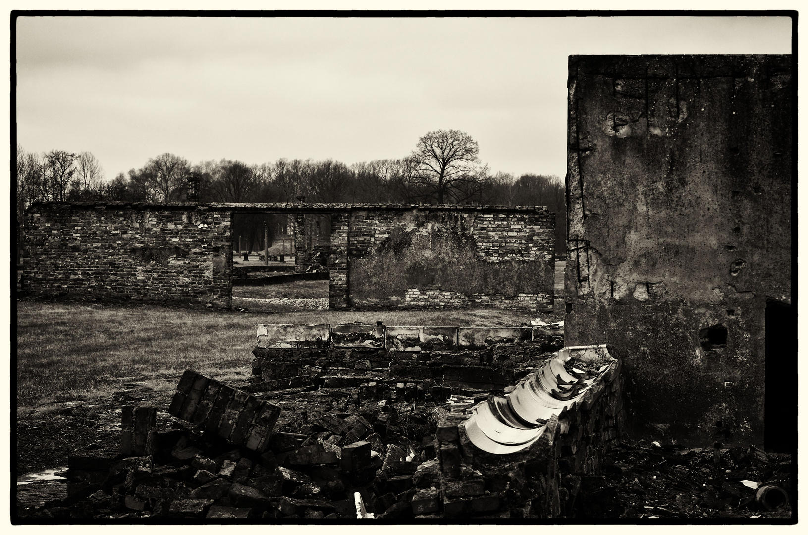 Birkenau...