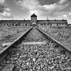 Birkenau Holocaust I