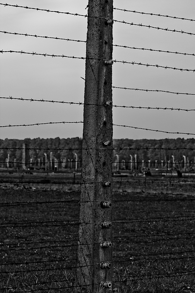 Birkenau II