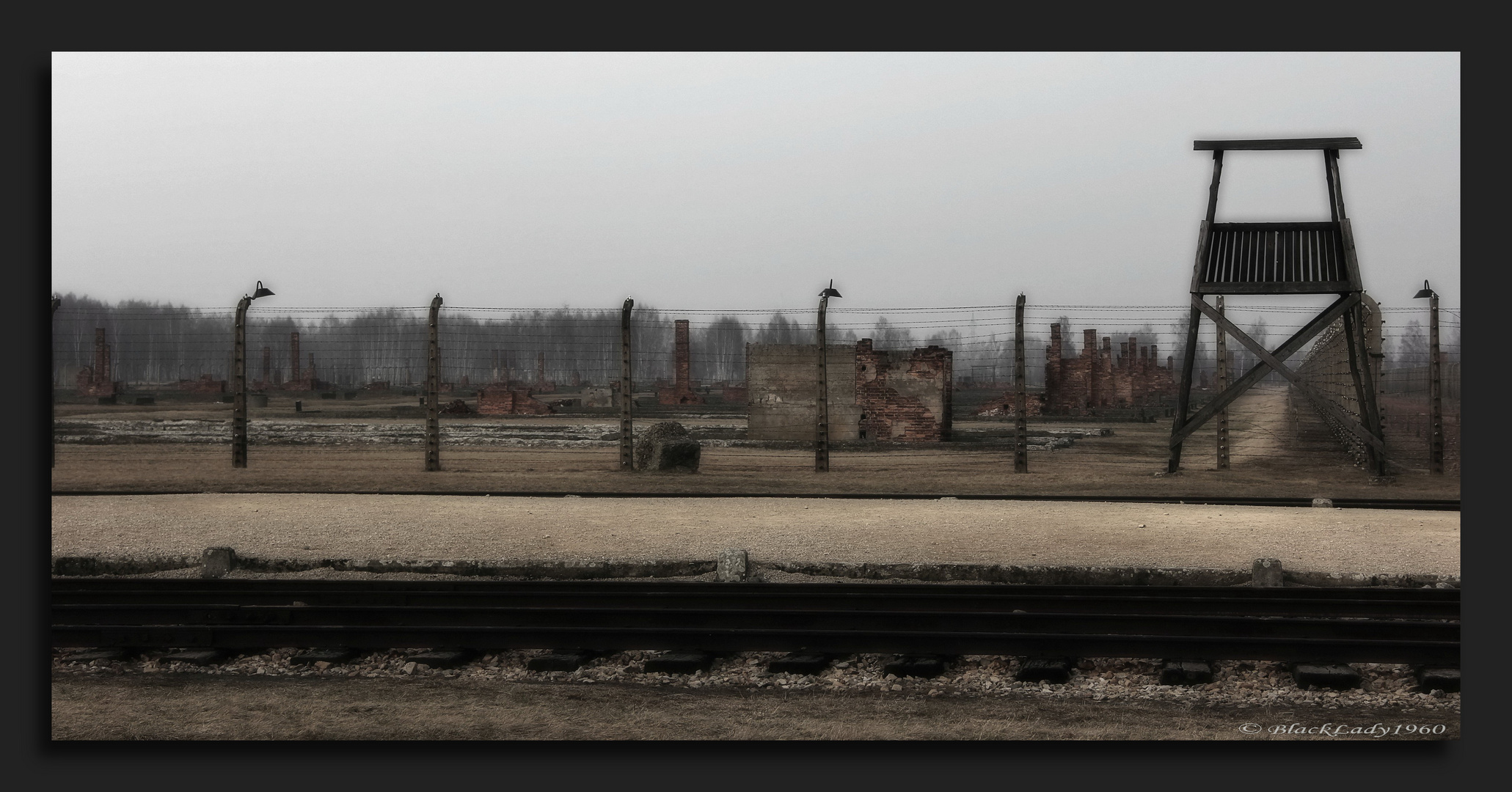 Birkenau II