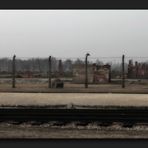 Birkenau II