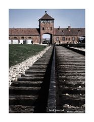 Birkenau - Teil 4