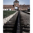 Birkenau - Teil 4