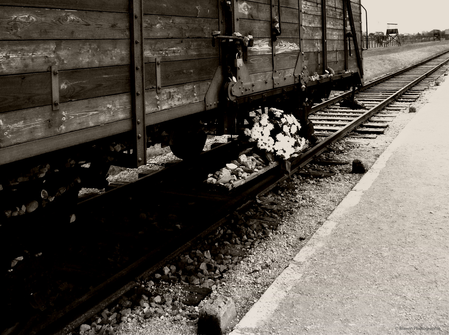 Birkenau - The Residence of Death 1