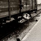 Birkenau - The Residence of Death 1