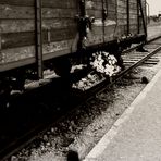 Birkenau - The Residence of Death 1
