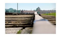 Birkenau - The Residence of Death 2