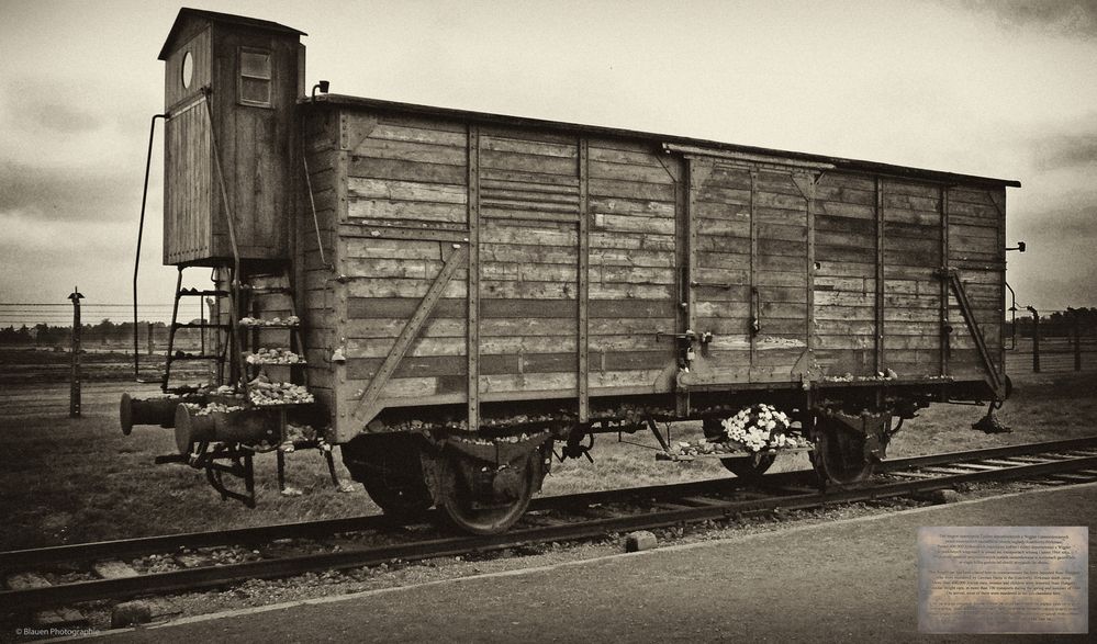 Birkenau - The Residence of Death 3