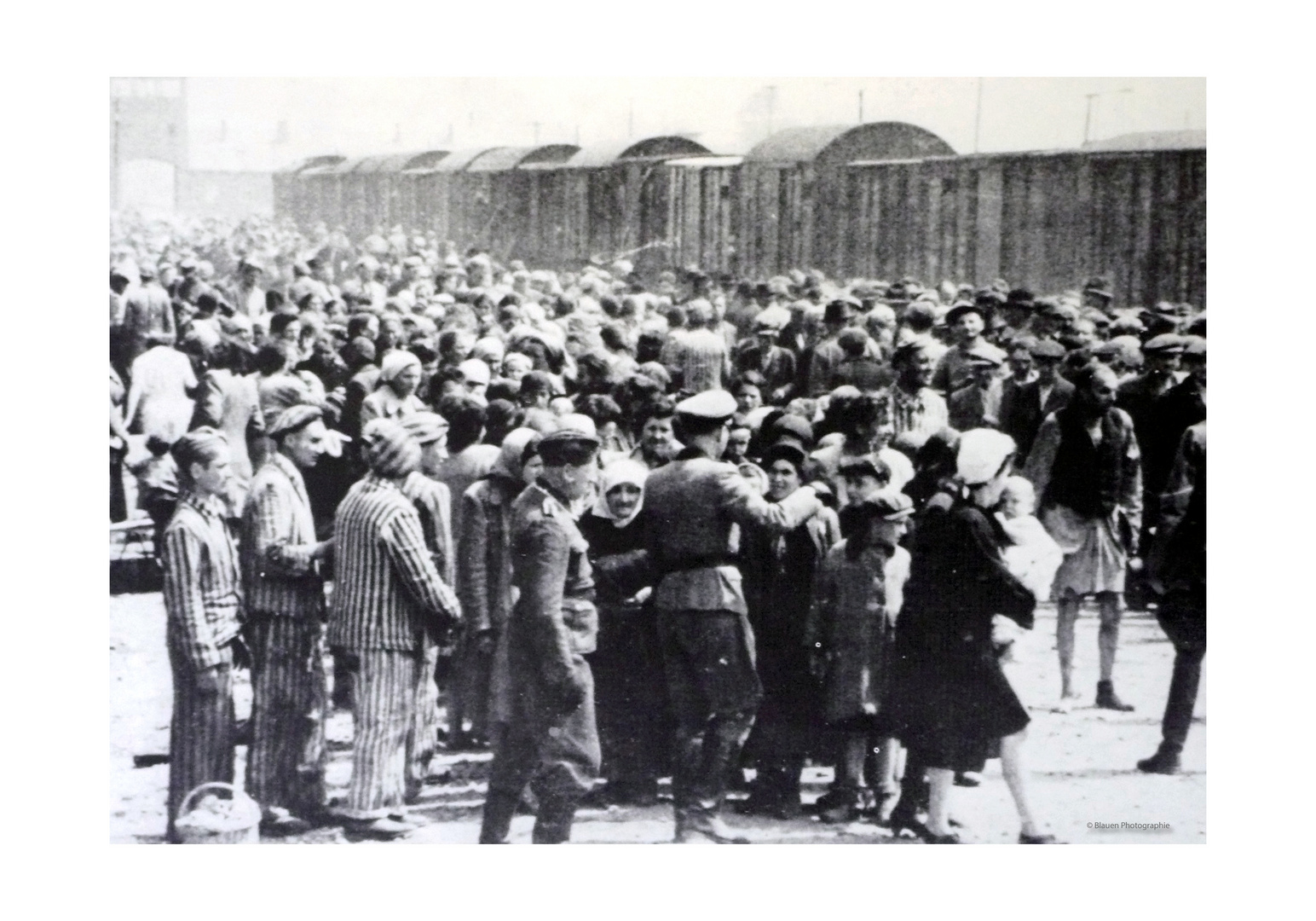 Birkenau - The Residence of Death 4