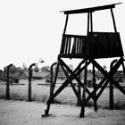 Birkenau - The Residence of Death 5