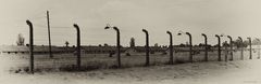 Birkenau - The Residence of Death 6