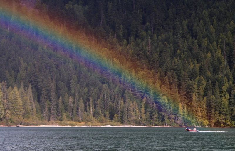 Birkenhead Lake