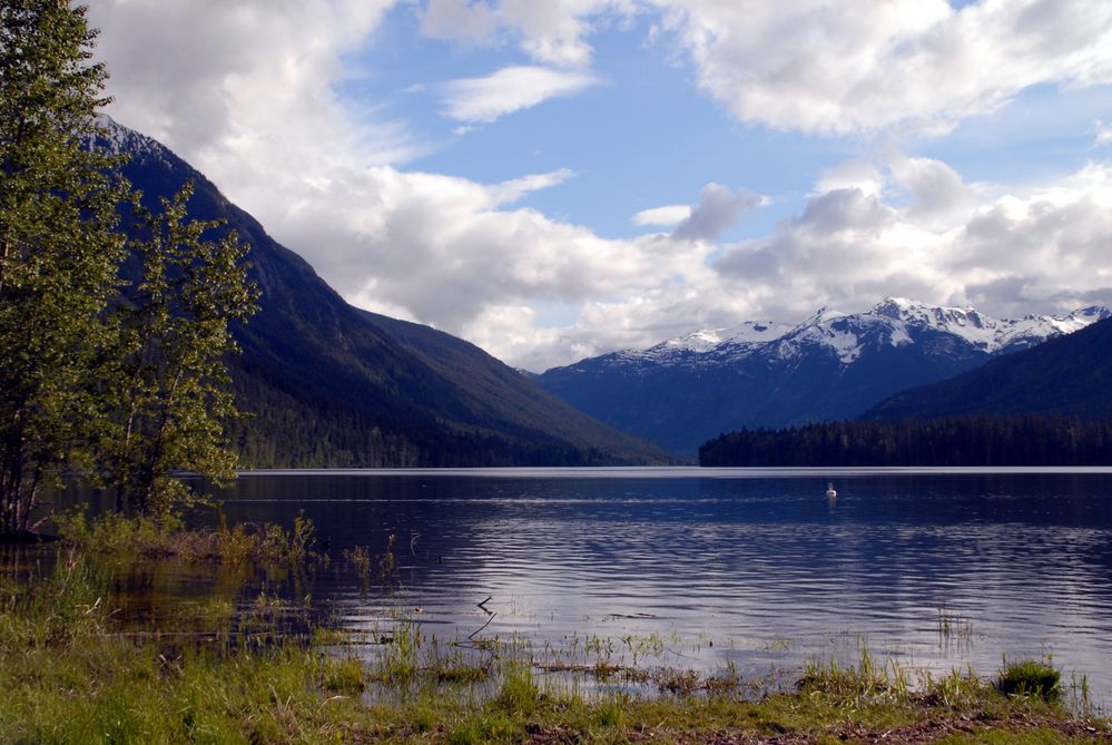 Birkenhead Lake