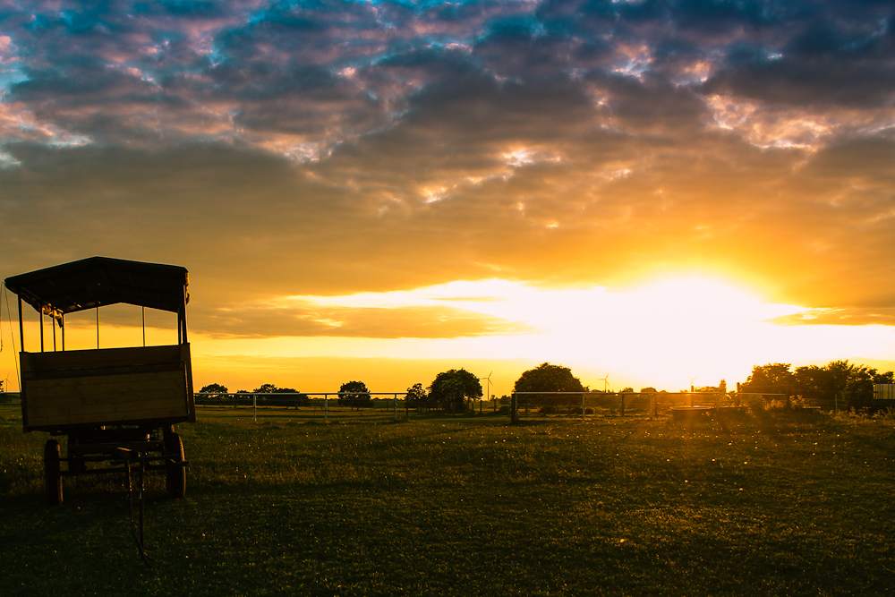 Birkenhof Lebus in Abendstimmung