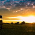 Birkenhof Lebus in Abendstimmung