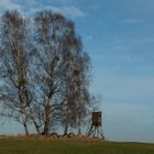 Birkeninsel mit Feldsteinen (Eiszeit-Findlinge)