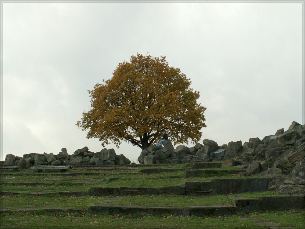 Birkenkopf