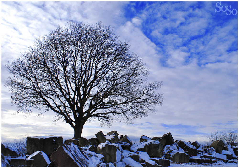 Birkenkopf_2