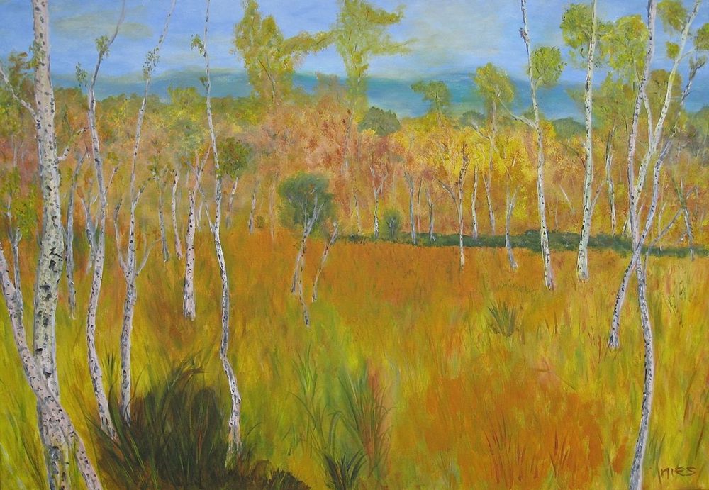 Birkenlandschaft 70 cm x 100 cm