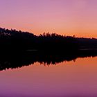 Birkensee am Abend