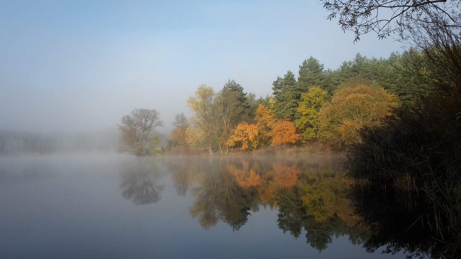 Birkensee im Morgennebel