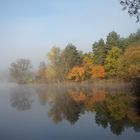 Birkensee im Morgennebel