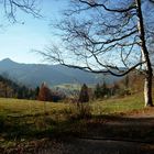 Birkenstein, Blick ins Leitzachtal