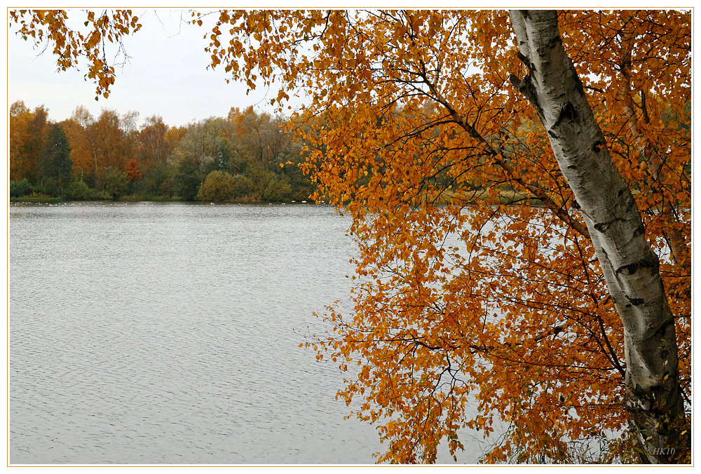 BirkenWasser