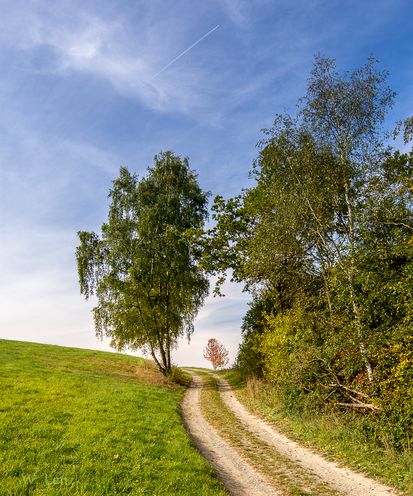 BirkenWeg