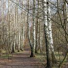 Birkenweg hier umme Ecke