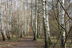 Birkenweg hier umme Ecke