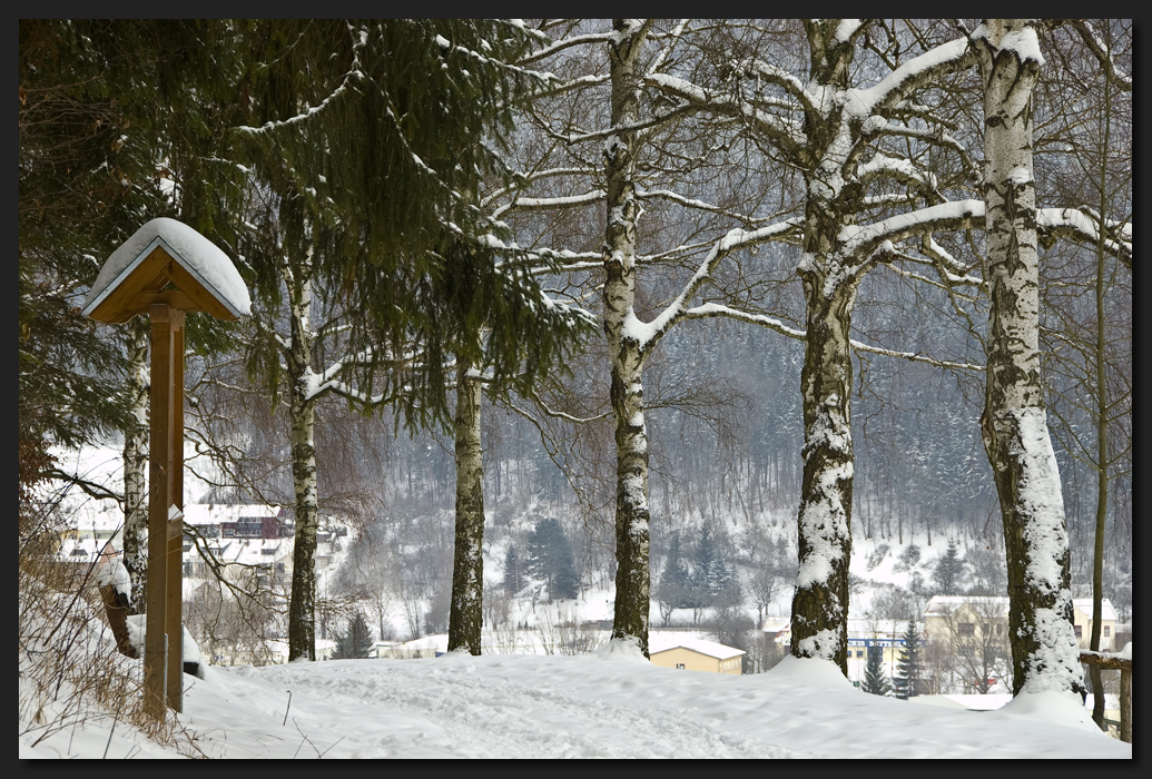 Birkenweg im Winter