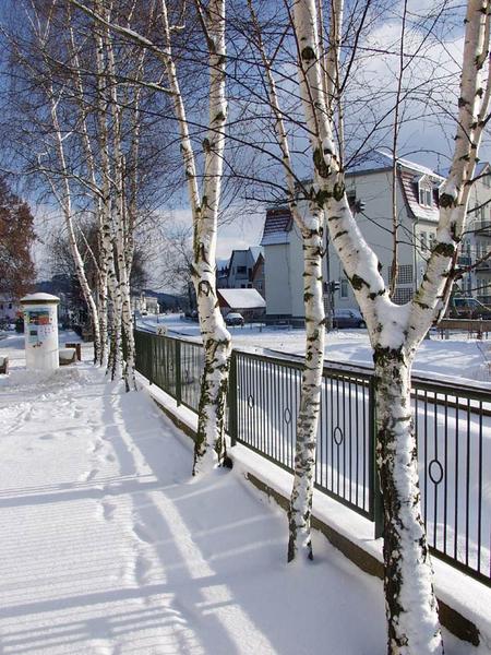 Birkenweg in Bad Salzungen