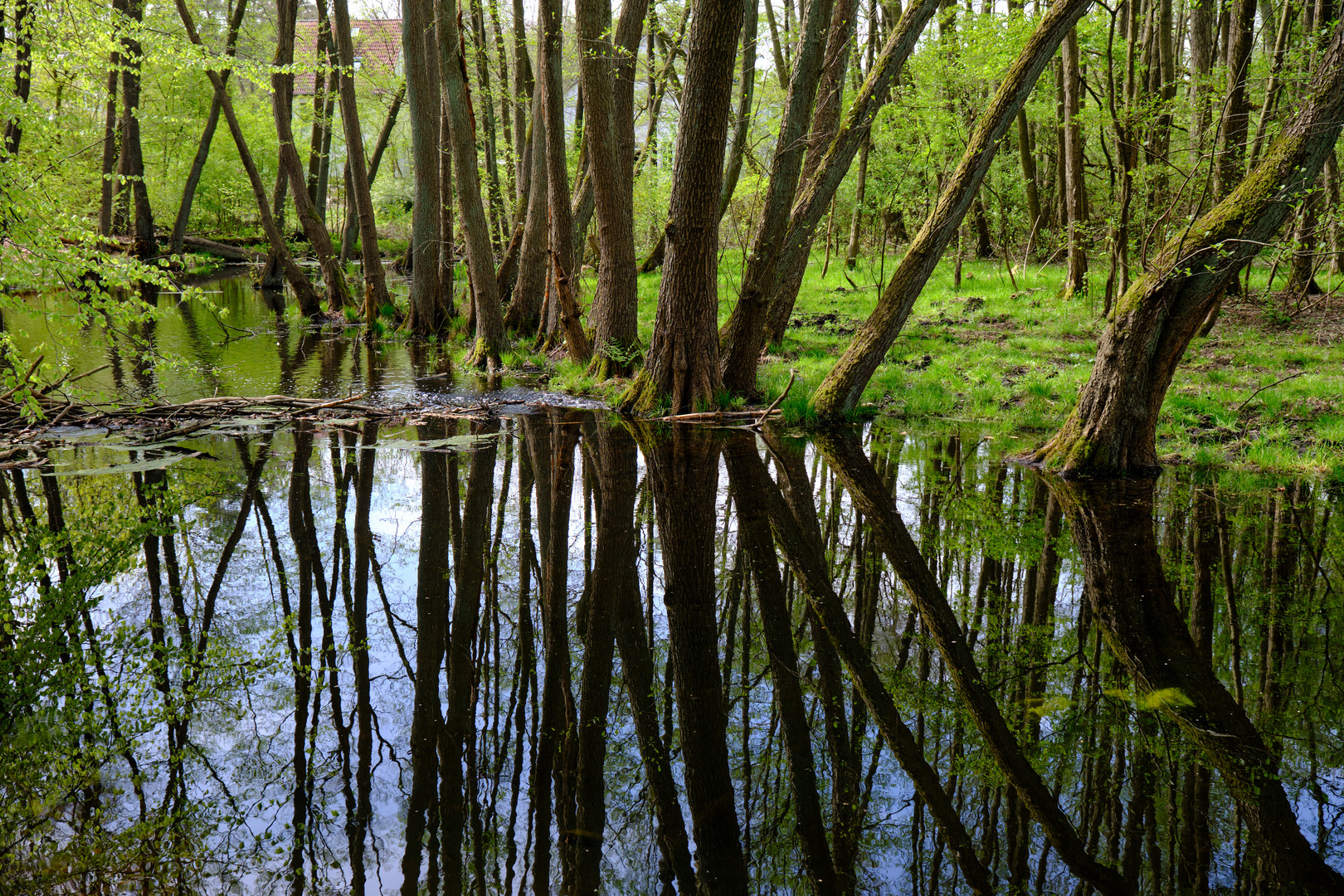 Birkenwerder - Briesetal