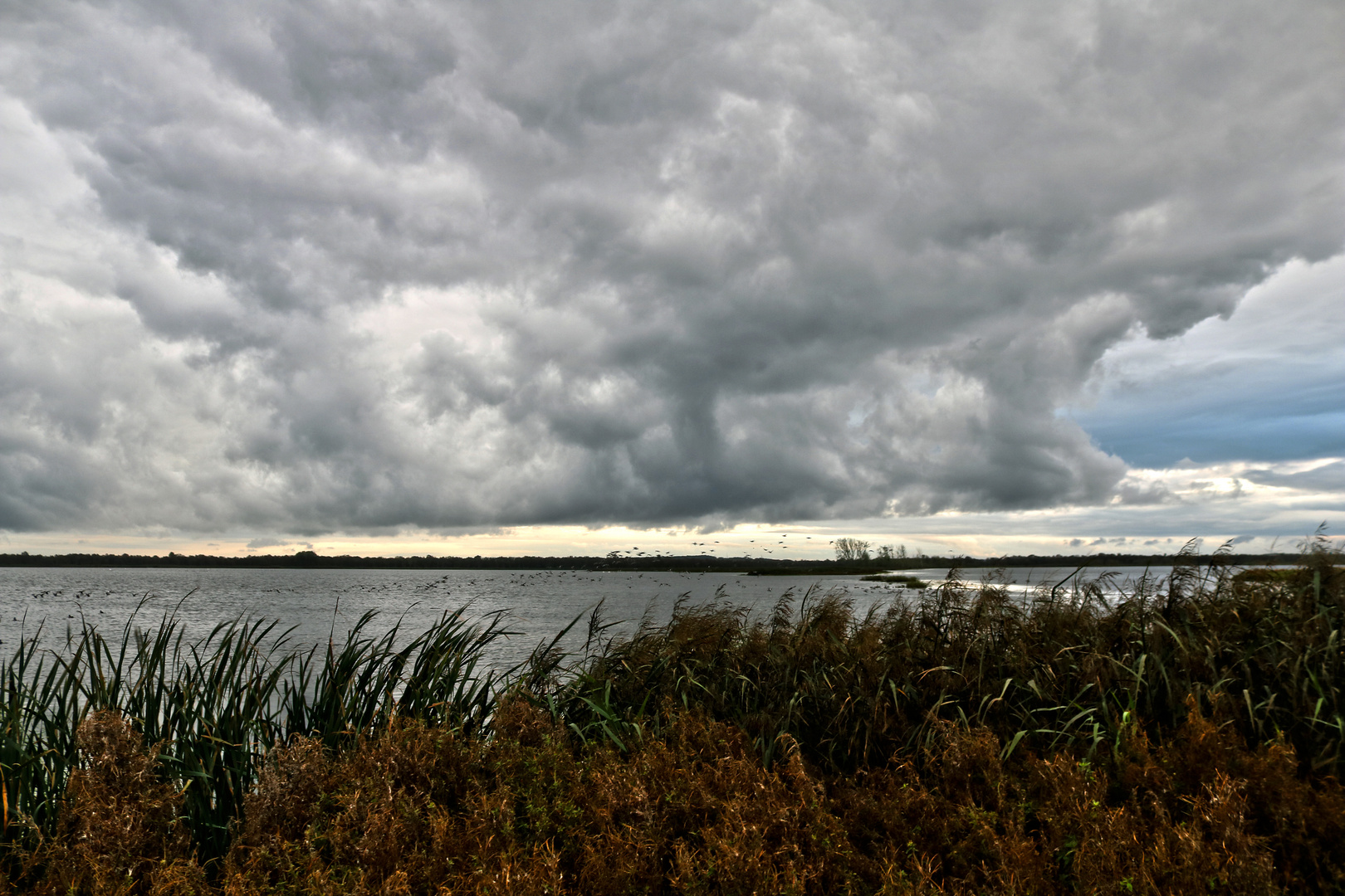 Birkesø - 1