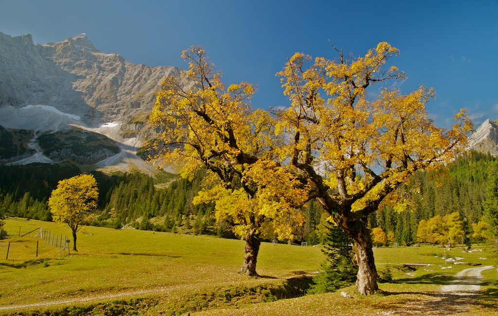 Birkkarspitze