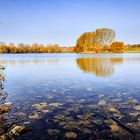 Birkunger Stausee