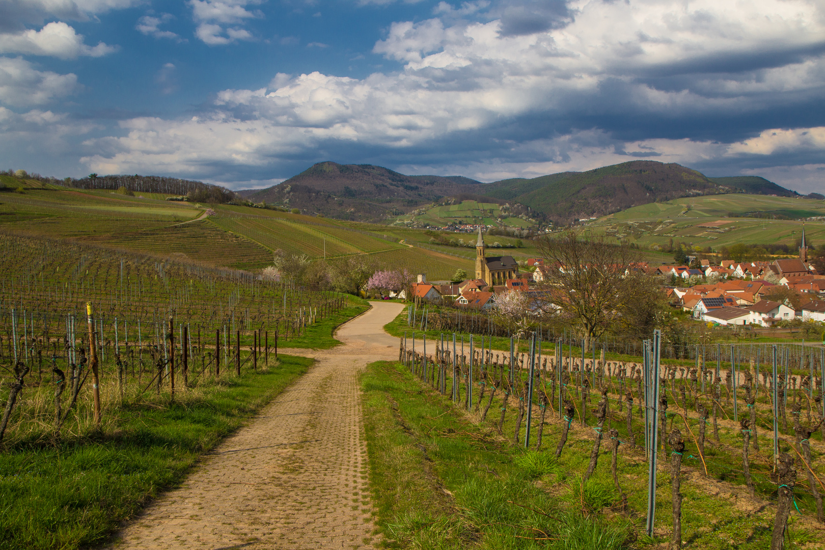 Birkweiler an der Weinstrasse