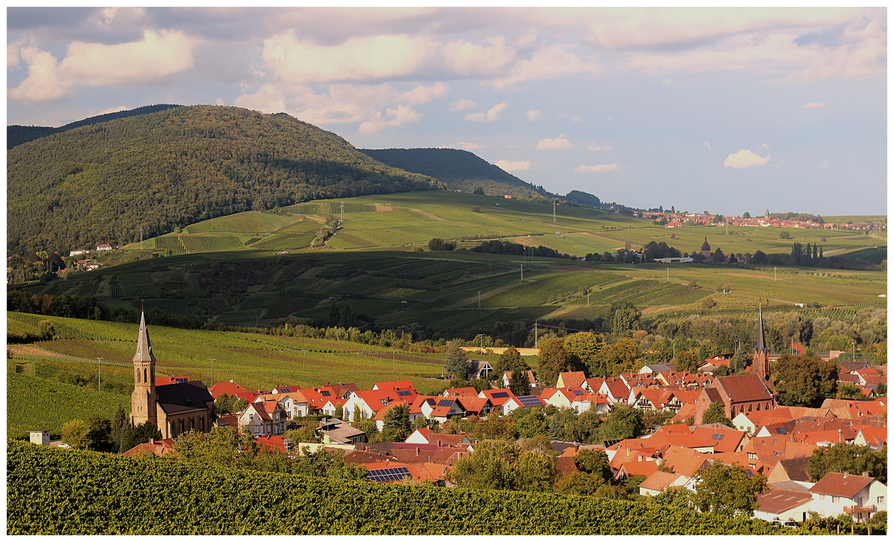 Birkweiler im Frühhherbst