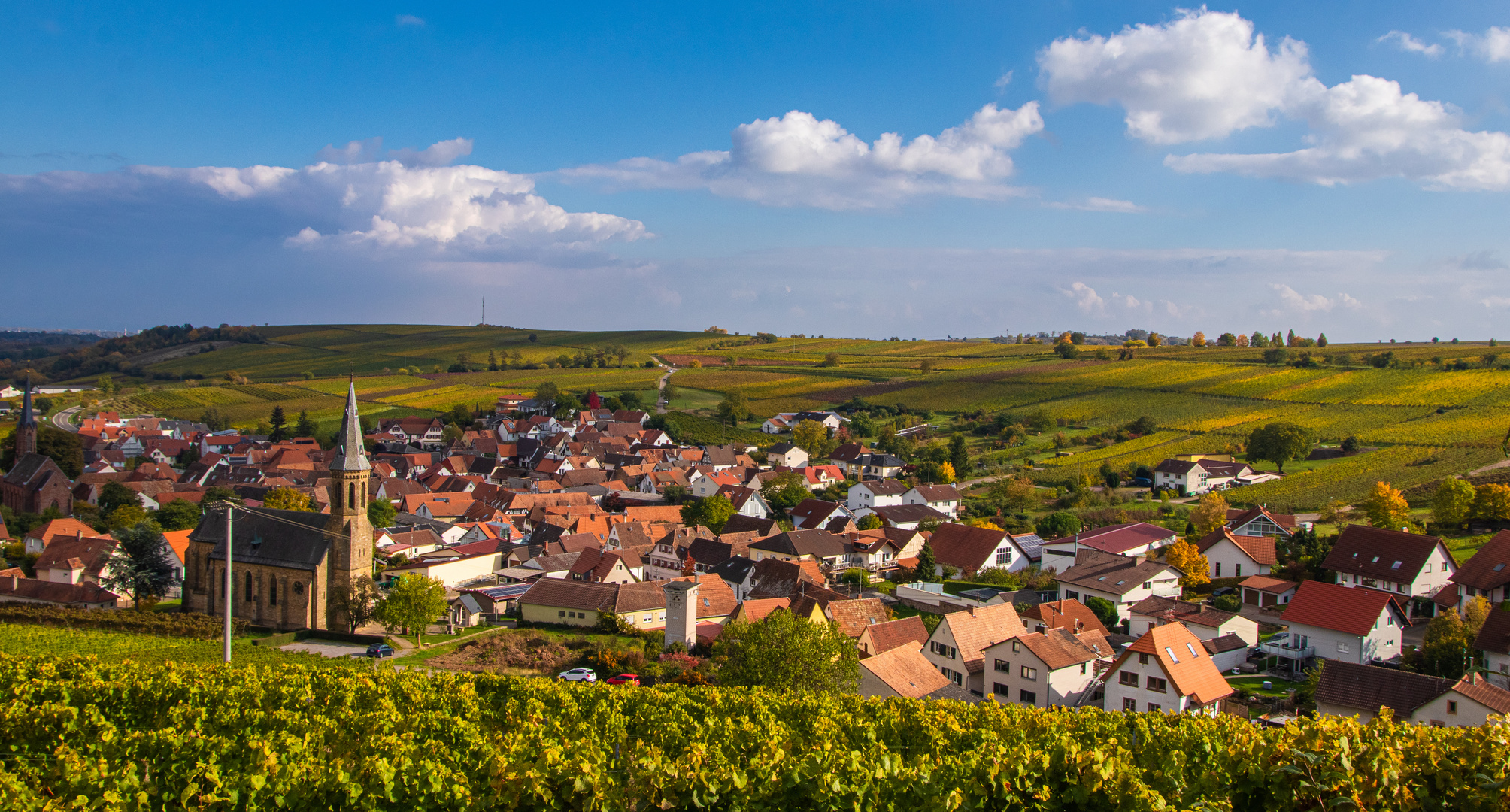 Birkweiler im Herbst