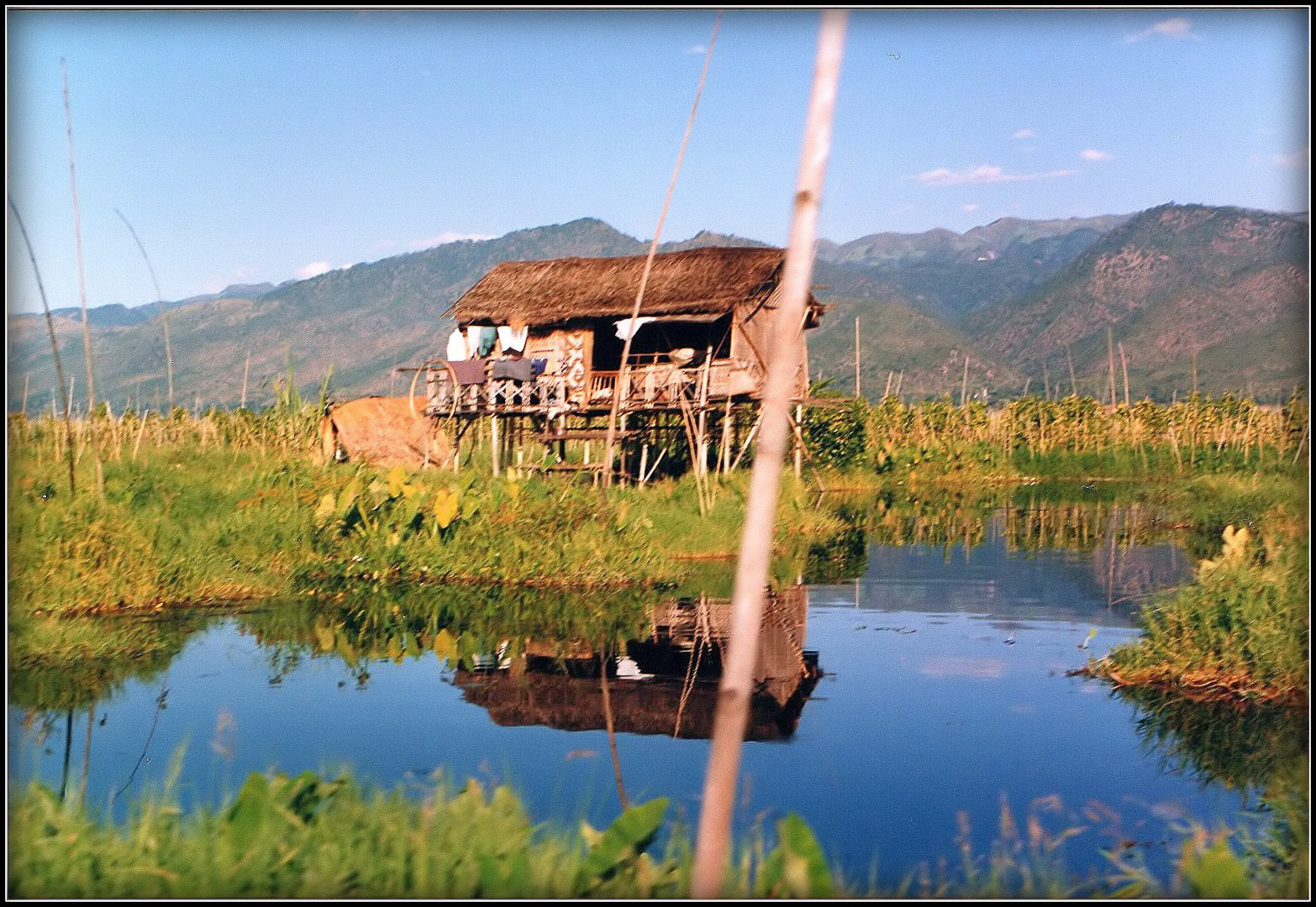 BIRMANIE - 3 - Lac Inlé ( scan de photo argentique) 