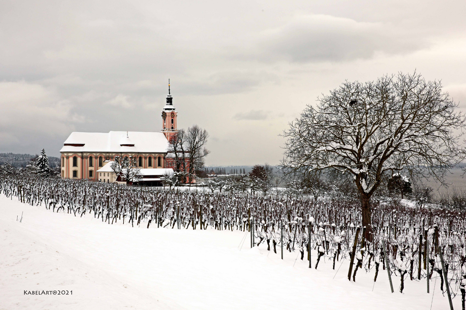 Birnau im Schnee 2021