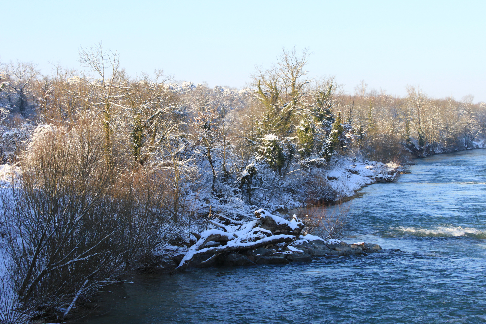 birs bei schnee