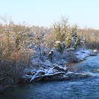 birs bei schnee