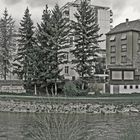 Birsufer Panorama