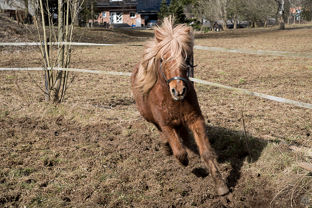 birta im endspurt